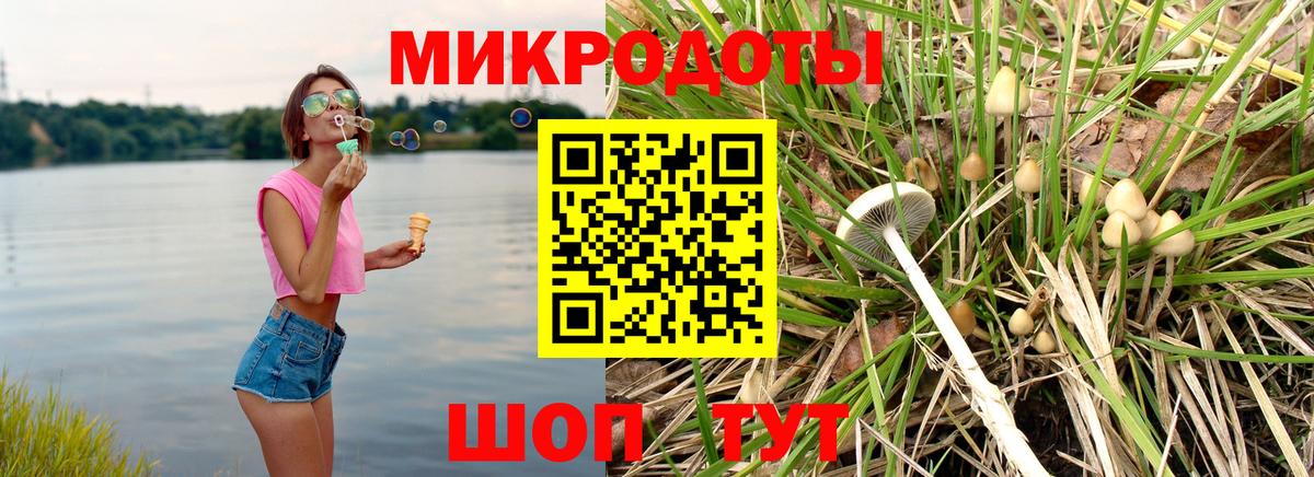 Псилоцибиновые грибы MAGIC MUSHROOMS  Вход с VPN  наркотики  Амурск 