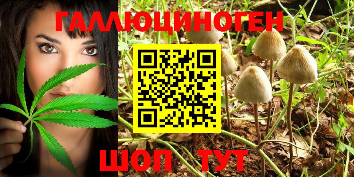 Галлюциногенные грибы MAGIC MUSHROOMS Амурск
