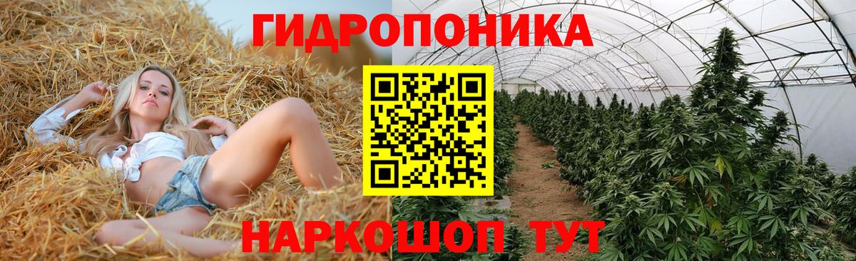 МАРИХУАНА конопля  Шишки марихуана конопля  Вход с VPN  Бошки марихуана план  Амурск  Бошки марихуана план 
